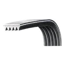 260J5 Ribbed PolyV Belt Black Rubber