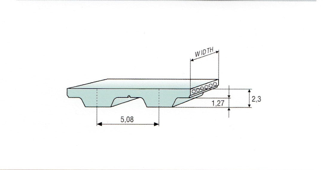 Rollo de correa de poliéster/acero XL100 con extremo abierto y diente de tela verde