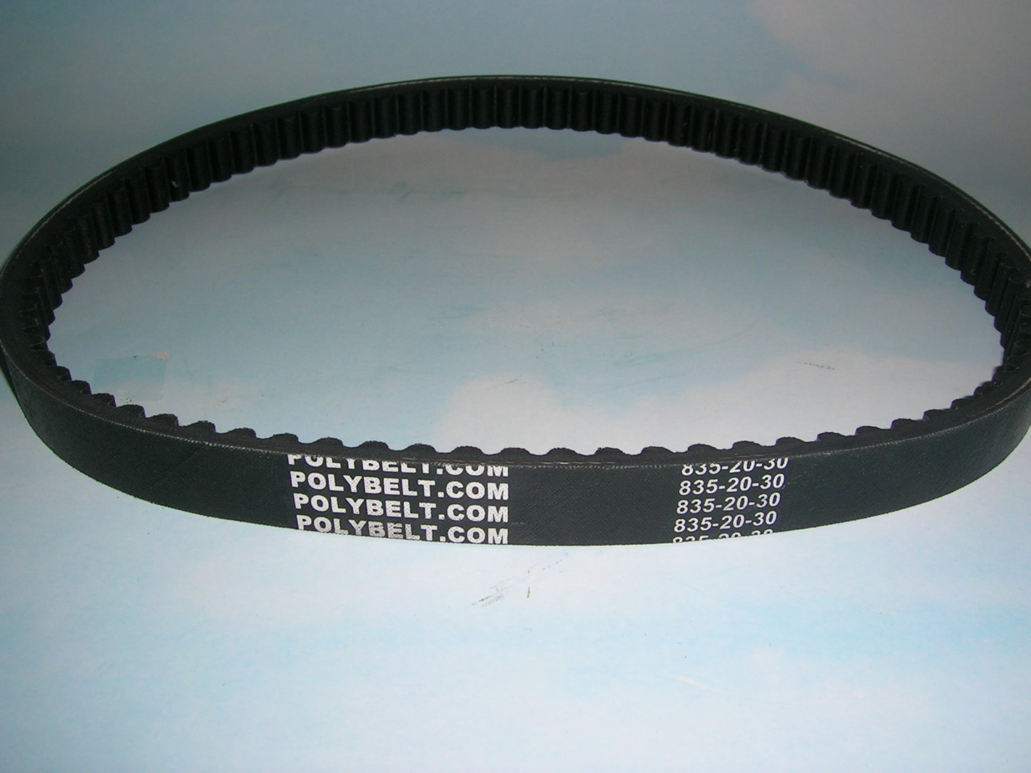 Sunbeam 5891 bread maker machine Timing BELT Free Shipping