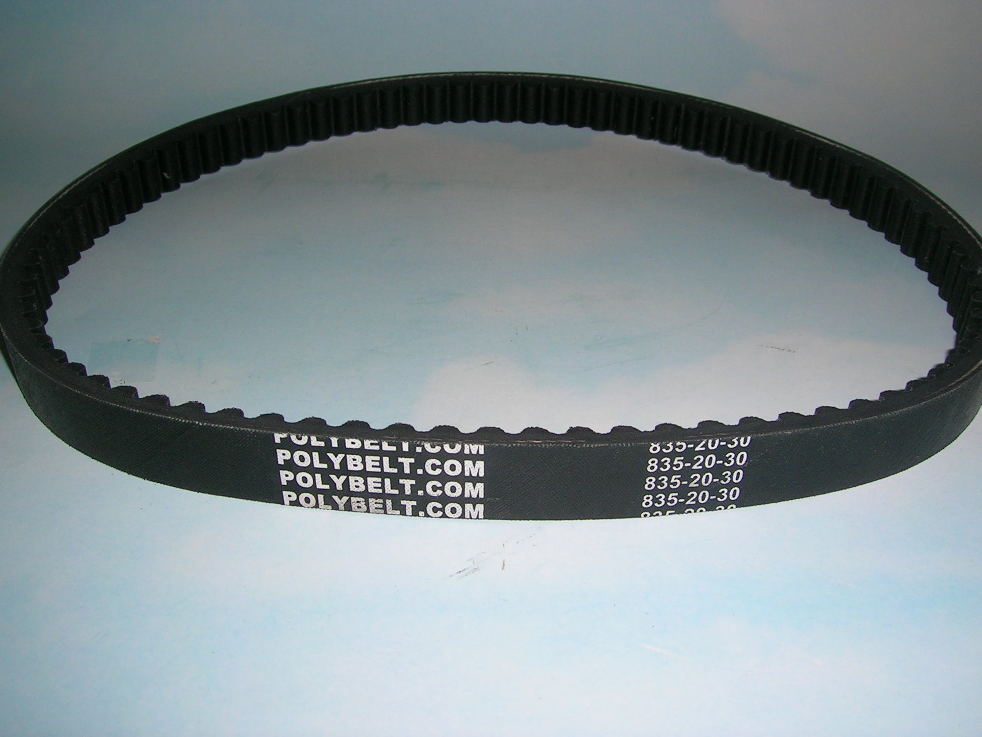 Sunbeam 5841 bread maker machine Timing BELT Free Shipping